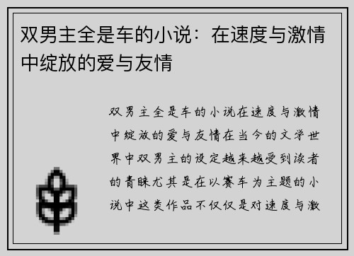 双男主全是车的小说：在速度与激情中绽放的爱与友情